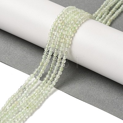 Natural Prehnite Beads Strands G-B090-A19-03-1