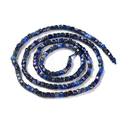 Natural Lapis Lazuli Beads Strands G-K315-A09-1