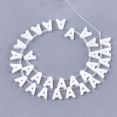 Natural Freshwater Shell Beads SHEL-T012-59A-1