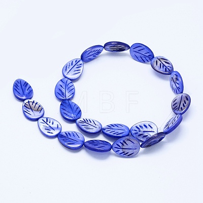 Dyed Natural Shell Beads Strands BSHE-F002-01-1