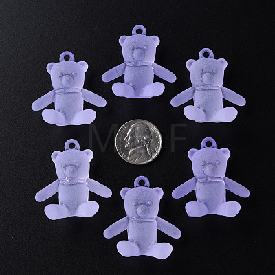 Frosted Acrylic Pendants MACR-S373-60K-04-1