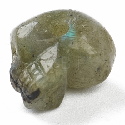 Natural Labradorite Beads G-B003-08-1