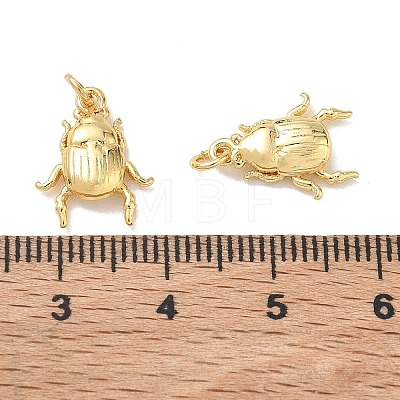 Insect Brass Charms KK-E797-06G-1