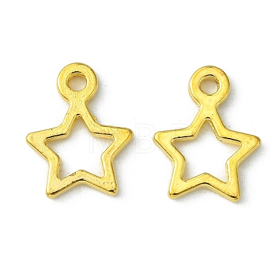 Tibetan Style Alloy Charms LS-K0NYK011-1