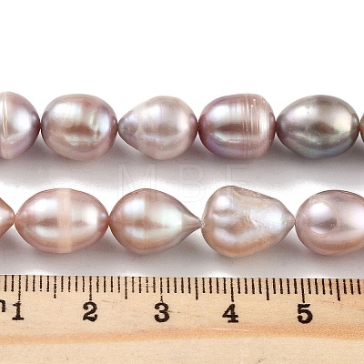 Natural Cultured Freshwater Pearl Beads Strands PEAR-P062-12D-1