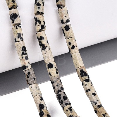 Natural Dalmatian Jasper Beads Strands GG-N002-01A-07-1