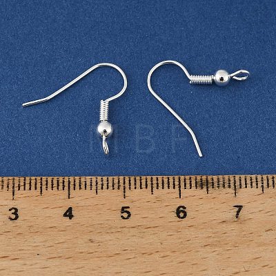 Brass Earring Hooks KK-H258-06B-S-1