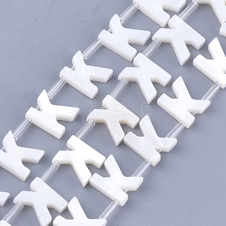 Natural Freshwater Shell Beads SHEL-T012-59K-1
