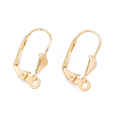 304 Stainless Steel Leverback Earring Findings LS-STAS-K218-08G-1
