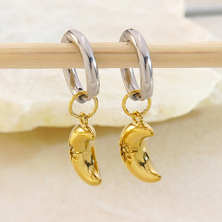 304 Stainless Steel Micro Pave Cubic Zirconia Hoop Dangle Earrings for Women WGE2C14-04-1