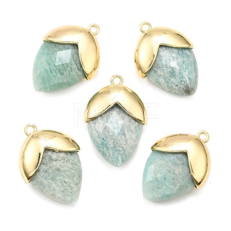 Natural Amazonite Pendants G-U019-03B-06-1