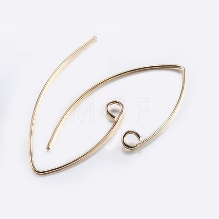 Brass Earring Hooks KK-K197-60G-1