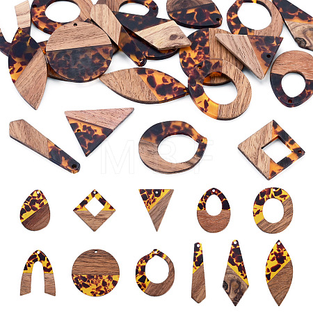 22Pcs 11 Styles Transparwnt Resin & Walnut Wood Pendants RESI-TA0005-75-1