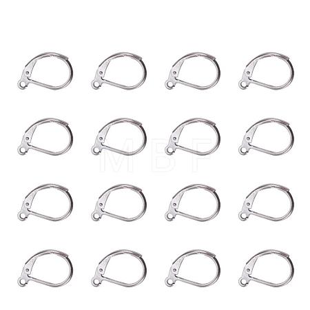 Tarnish Resistant 304 Stainless Steel Leverback Earring Findings STAS-L190-14P-1