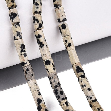 Natural Dalmatian Jasper Beads Strands GG-N002-01A-07-1