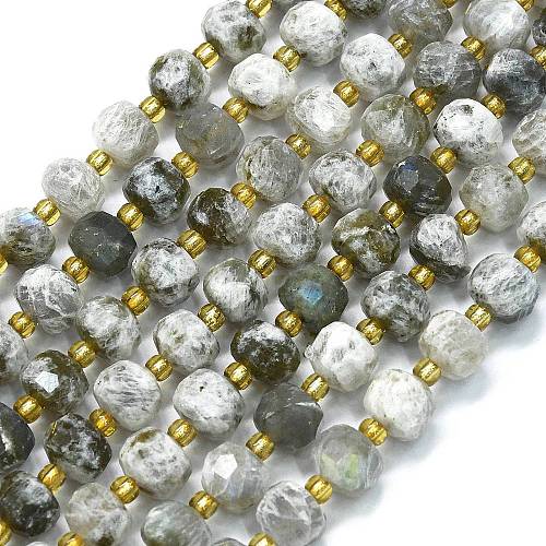 Natural Labradorite Beads Strands G-K389-E41-01-1