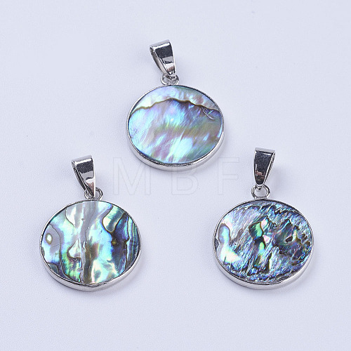 Abalone Shell/Paua Shell Pendants SSHEL-L008-04P-1