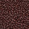 Baking Paint Glass Seed Beads SEED-T006-03V-2