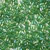 Two Cut Glass Seed Beads X-CSDB167-2