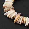 Natural Shell Beads Strands SHEL-D002-01A-3
