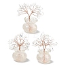 Natural Quartz Crystal Chips Tree of Life Decorations DJEW-Z007-02R-1