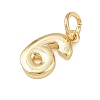 Brass Charms KK-G544-10G-06-2