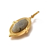 Natural Labradorite Pendants STAS-A104-08G-02-2