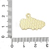 Alloy Enamel Pendants ENAM-I075-01G-04-3