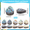 Natural Abalone Shell/Paua Shell Beads SHEL-BBC0001-01-2