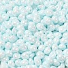 6/0 Glass Seed Beads X1-SEED-M012-01A-13-3