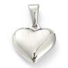 304 Stainless Steel Pendants STAS-P278-01W-P-2