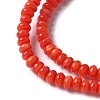Natural Freshwater Shell Beads Strands SSHEL-C013-08A-3