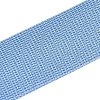 Polyester Ribbons OCOR-N011-01A-05-2