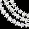 Natural Trochid Shell/Trochus Shell Beads Strands SH-CBA2978-17A-3