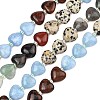 Gradient Color Natural African Bloodstone & Dalmatian Jasper & Mahogany Obsidian & Dyed White Jade & Fluorite Beads Strands G-B185-A12-3