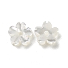 Natural White Shell Beads SHEL-F002-04-1