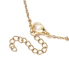 Round Natural Cultured Freshwater Pearl Pendant Necklaces X-NJEW-JN04966-5