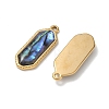 Natural Paua Shell Pendants SA-CBA11D7-20B-G-2