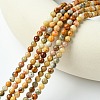 Natural Crazy Lace Agate Round Bead Strands X-G-E334-4mm-20-3