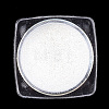 Metallic Mirror Holographic Pigment Chrome Powder MRMJ-S015-010E-2