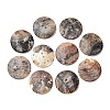 2-Hole Natural Akoya Shell Buttons SH-CBA1323-01B-1