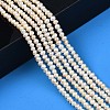Natural Cultured Freshwater Pearl Beads Strands PEAR-N013-03B-6