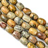 Barrel Shaped Gemstone Natural Crazy Lace Agate Beads Strands G-S114-08-3