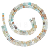 2 Strands 2 Styles Natural Flower Amazonite Beads Strands G-PH0002-53-7