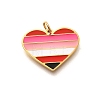 Pride 304 Stainless Steel Enamel Pendants LS-STAS-B079-01G-16-1