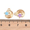 Alloy with Enamel Charms AL-CBA9C31-01G-3
