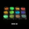 12 Colors Nail Art Luminous Powder MRMJ-R090-30-2