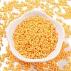 Baking Paint Glass Seed Beads SEED-A033-04K-2