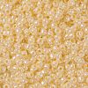 TOHO 8/0 Round Beads X-SEED-TR08-0901-2