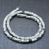 Natural Howlite Beads Strands G-F631-C17-2